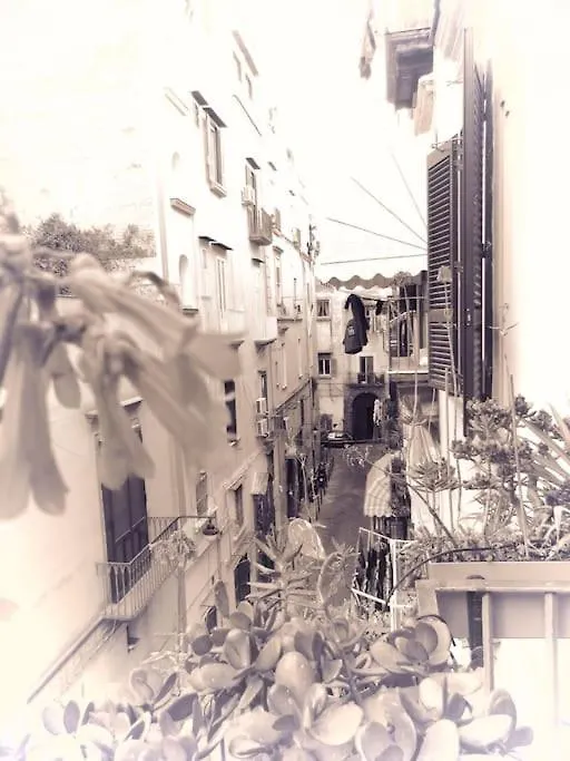 4P Casa Home Naples Apartment