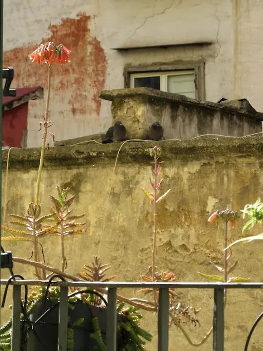 4P Casa Home Naples Italy